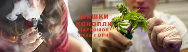 крисы Ладушкин