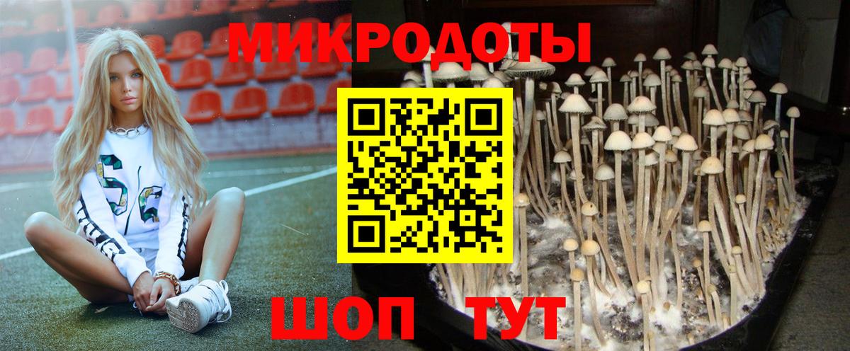Галлюциногенные грибы мухоморы  Вход с VPN  Псилоцибиновые грибы Cubensis  Благодарный 