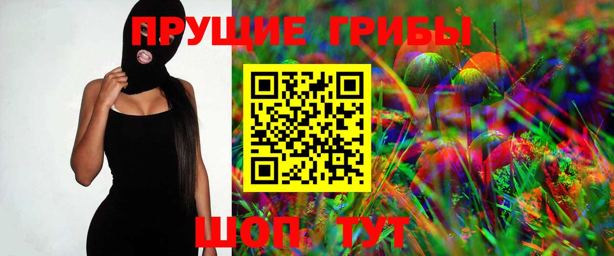 Галлюциногенные грибы Psilocybine cubensis  Благодарный 